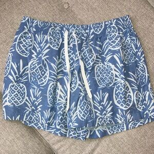 Chubbies Men’s Tropical Pineapple Swim Trunks Shorts (Large)